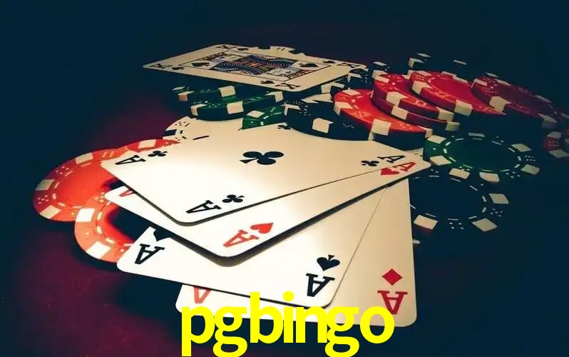 cassino pgbingo