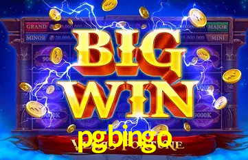 APP oficial da pgbingo para mobile