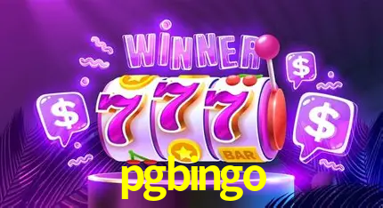 Descubra o Mundo do Cassino Online com pgbingo