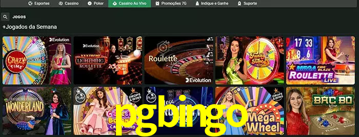 pgbingo bet