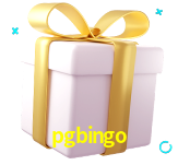 Receba seus bônus de boas-vindas no pgbingo