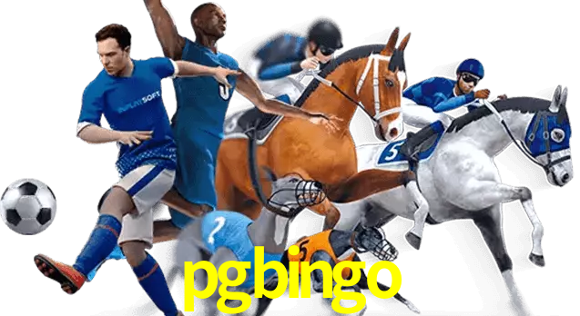 pgbingo