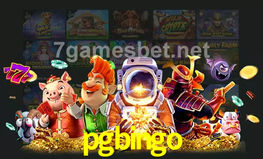 cassino pgbingo