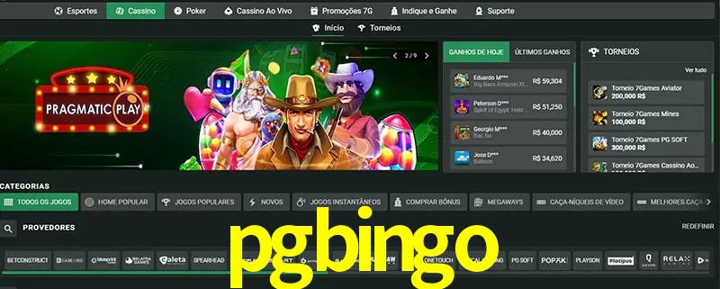 cassino pgbingo